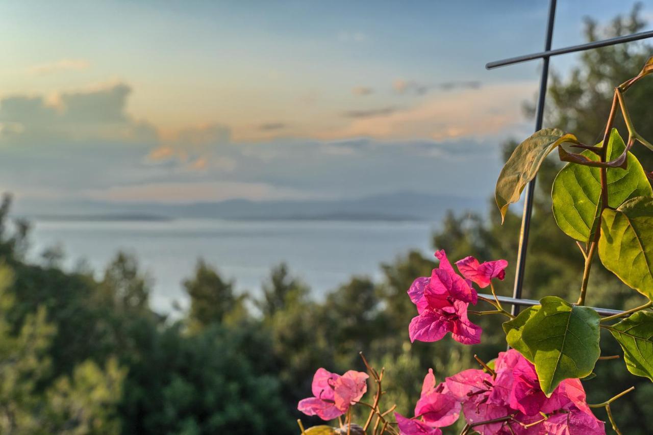 Holiday House Sunset Haven Estate 苏提万 外观 照片